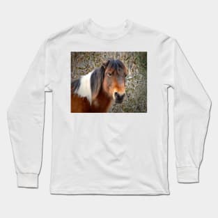 Assateague Island Pony Patricia Irene Long Sleeve T-Shirt